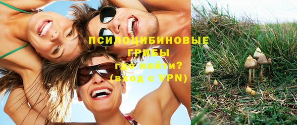 молекула духа Балабаново