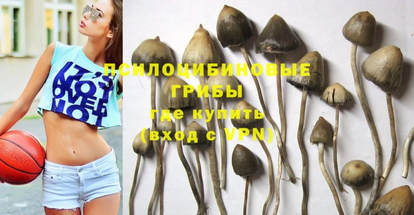 гашик Балахна